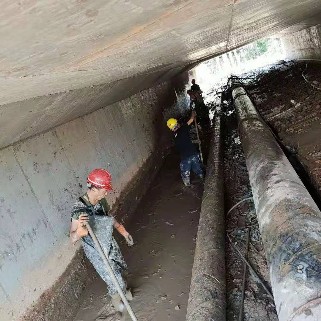 畜禽良种场工业管道清淤